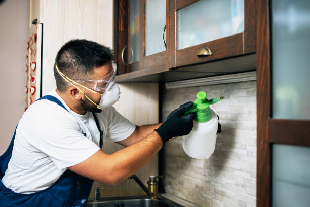Best Affordable Pest Control Services  in Davison, MI