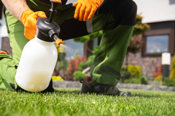 Best Commercial Pest Control Services  in Davison, MI