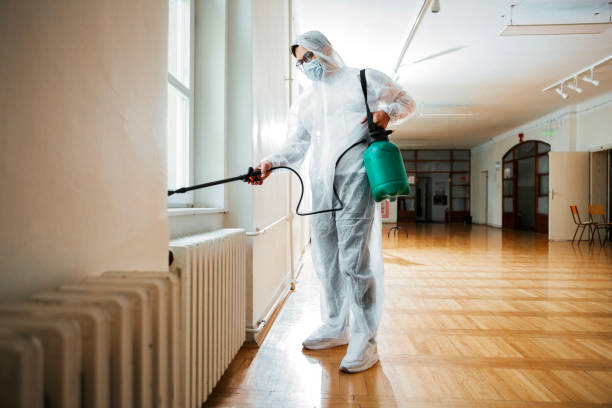 Best Emergency Pest Control  in Davison, MI